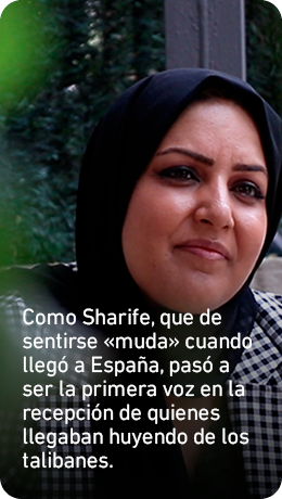 Sharife